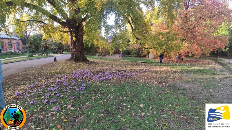 Couleurs d'automne