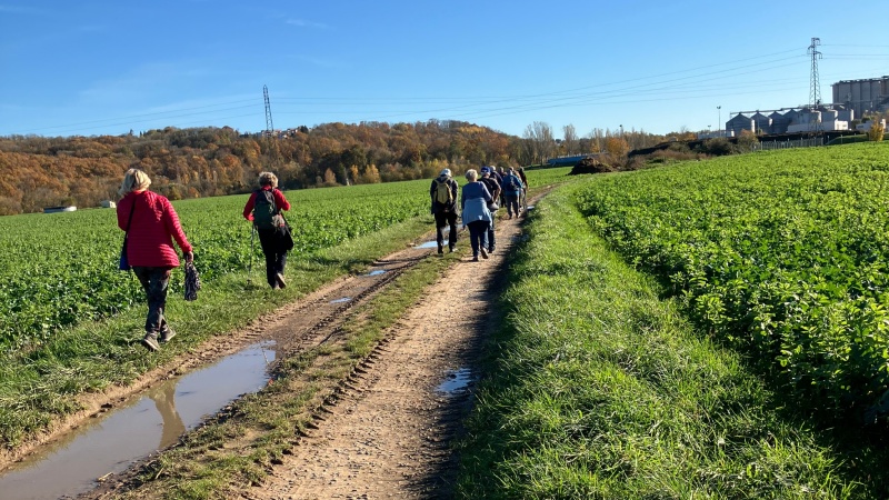 Randonnée à La Maxe