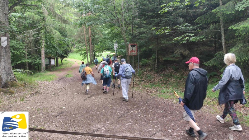 Séjour randonnée à Orbey en Alsace