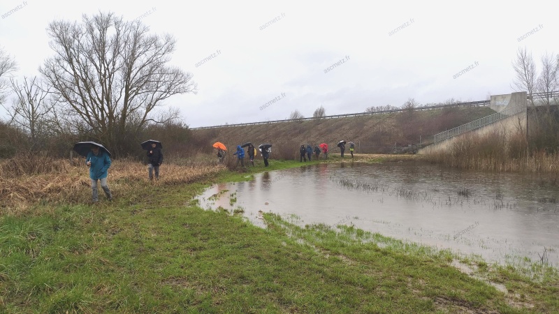 Randonnée autour de Marly