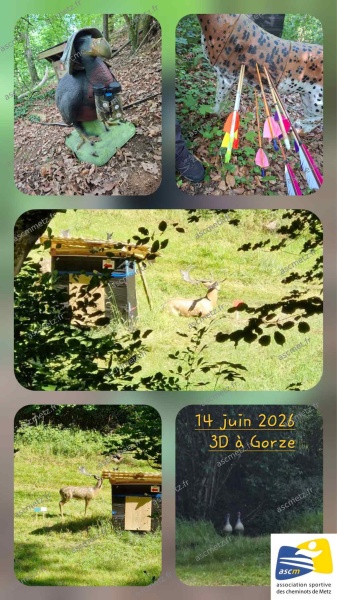 3D à Gorze en Tir à l'Arc
